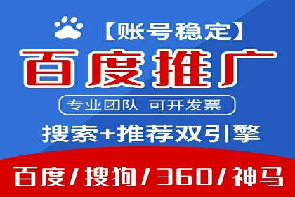 SEM服务公司成功案例解读